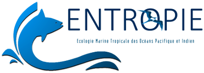 Entropie